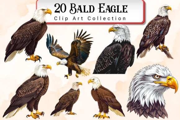 Download Bald Eagle Clipart Bundle - Premium Resources